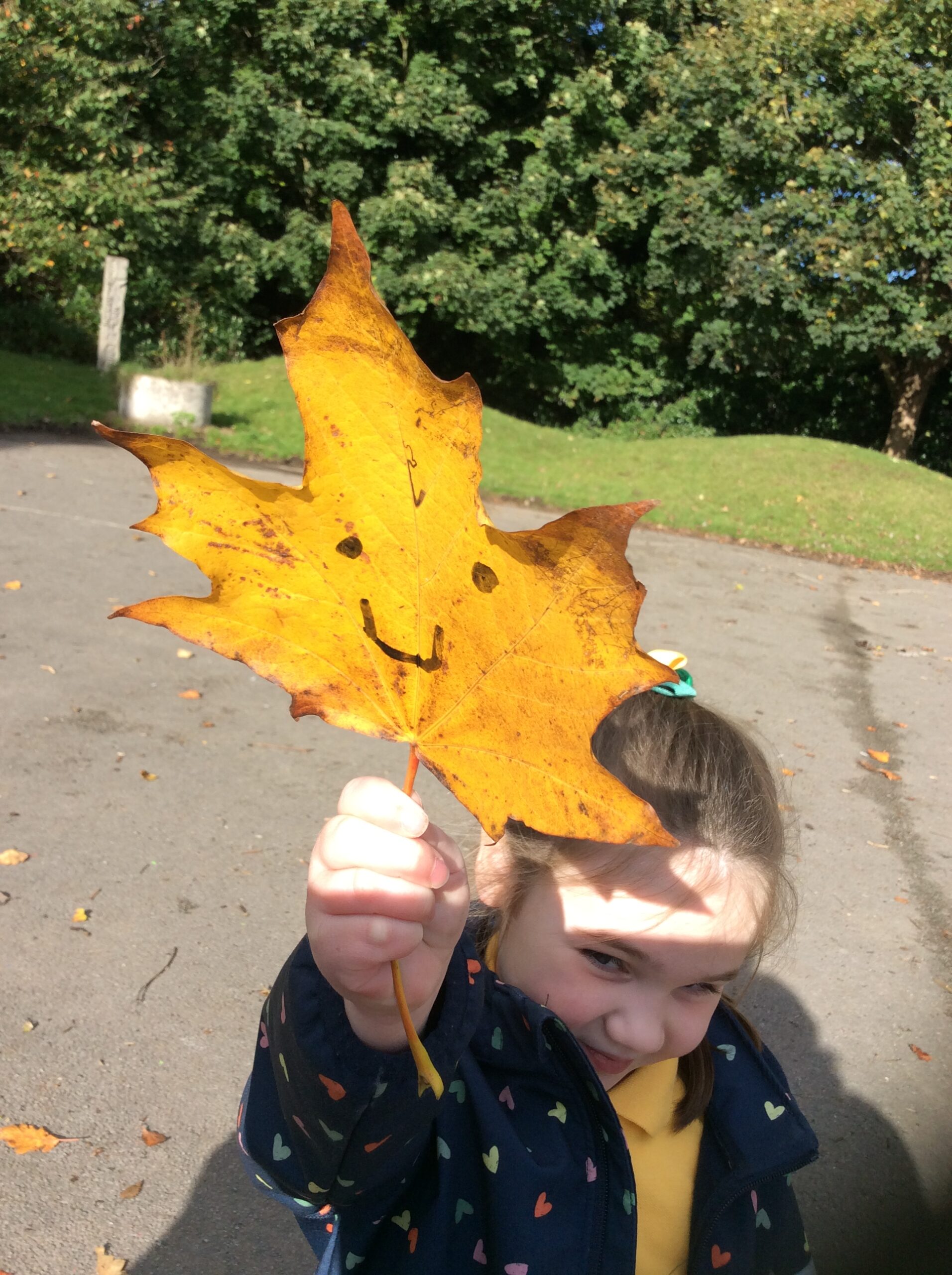 Forest School Session 2 – We think autumn is GREAT!