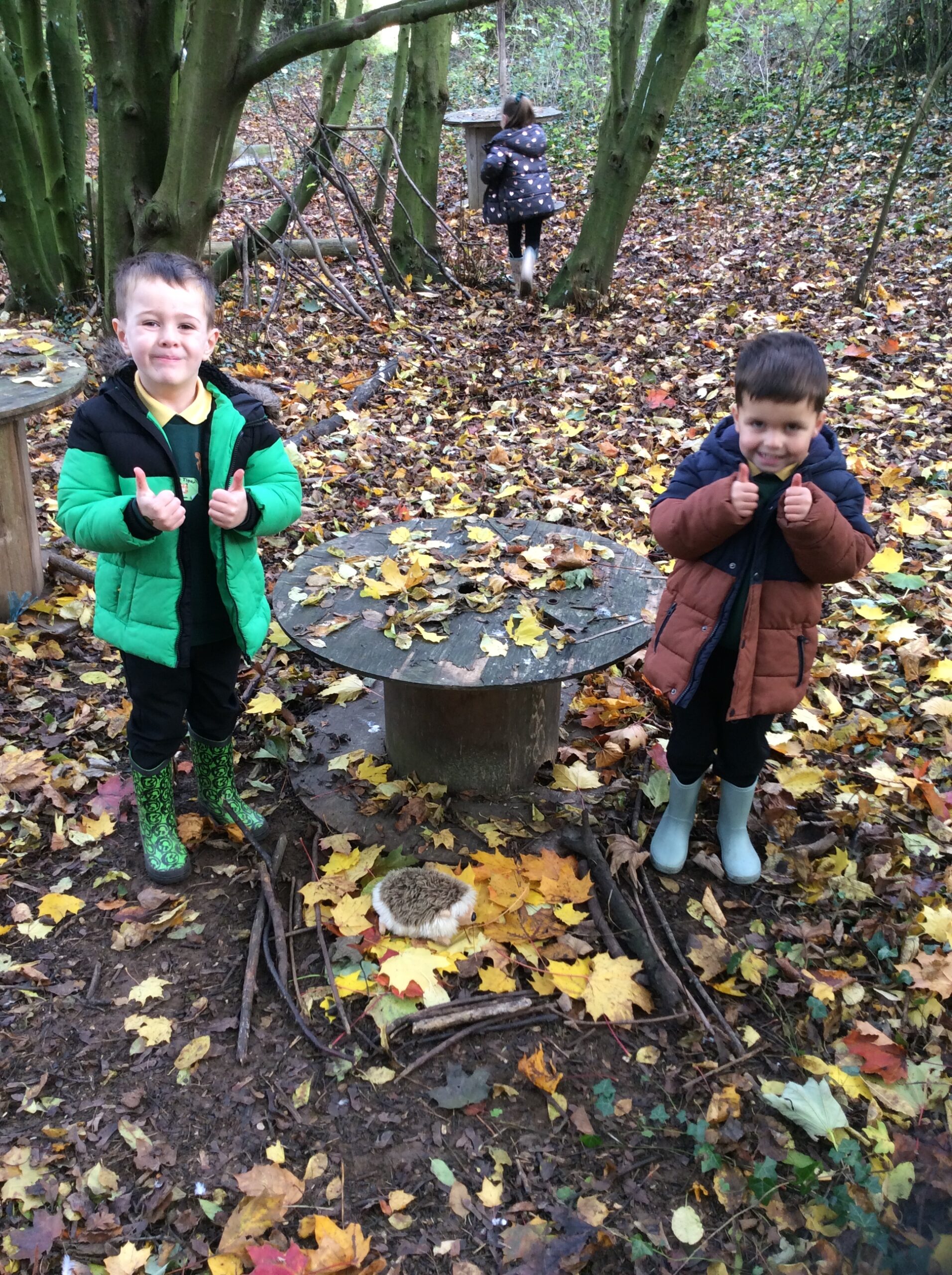 Forest School Session 3 – Wrens